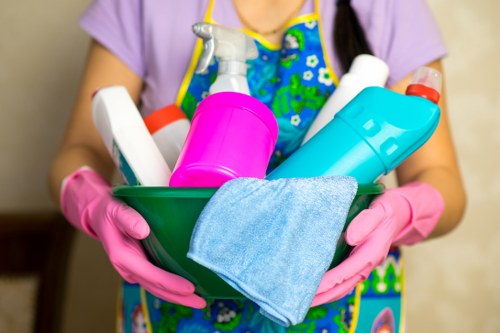 Cleaner carrying out carpet cleaning with safety awareness