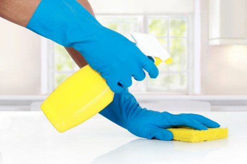 Deep cleaning process for pet odour removal in New Malden