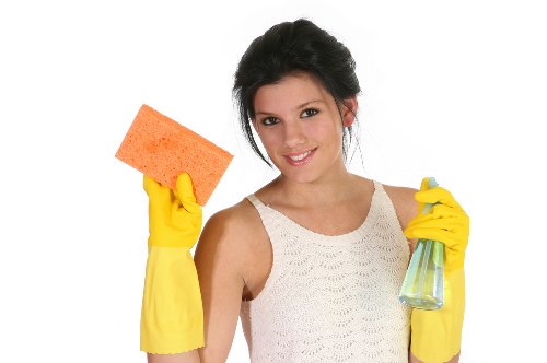 Professional carpet cleaning process in a domestic property