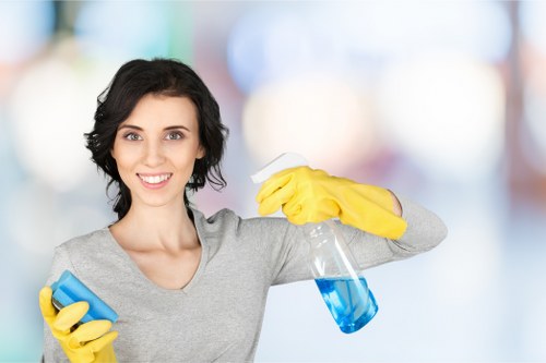 Professional carpet cleaning in a New Malden home
