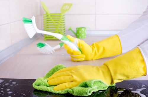 Professional carpet cleaner following safety procedures