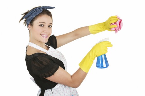 Professional carpet cleaning assessment in New Malden home