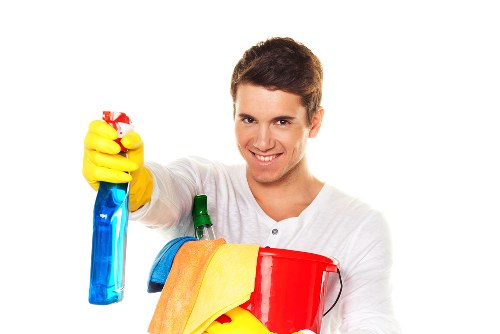 Carpet cleaning treatment for pet odour in New Malden